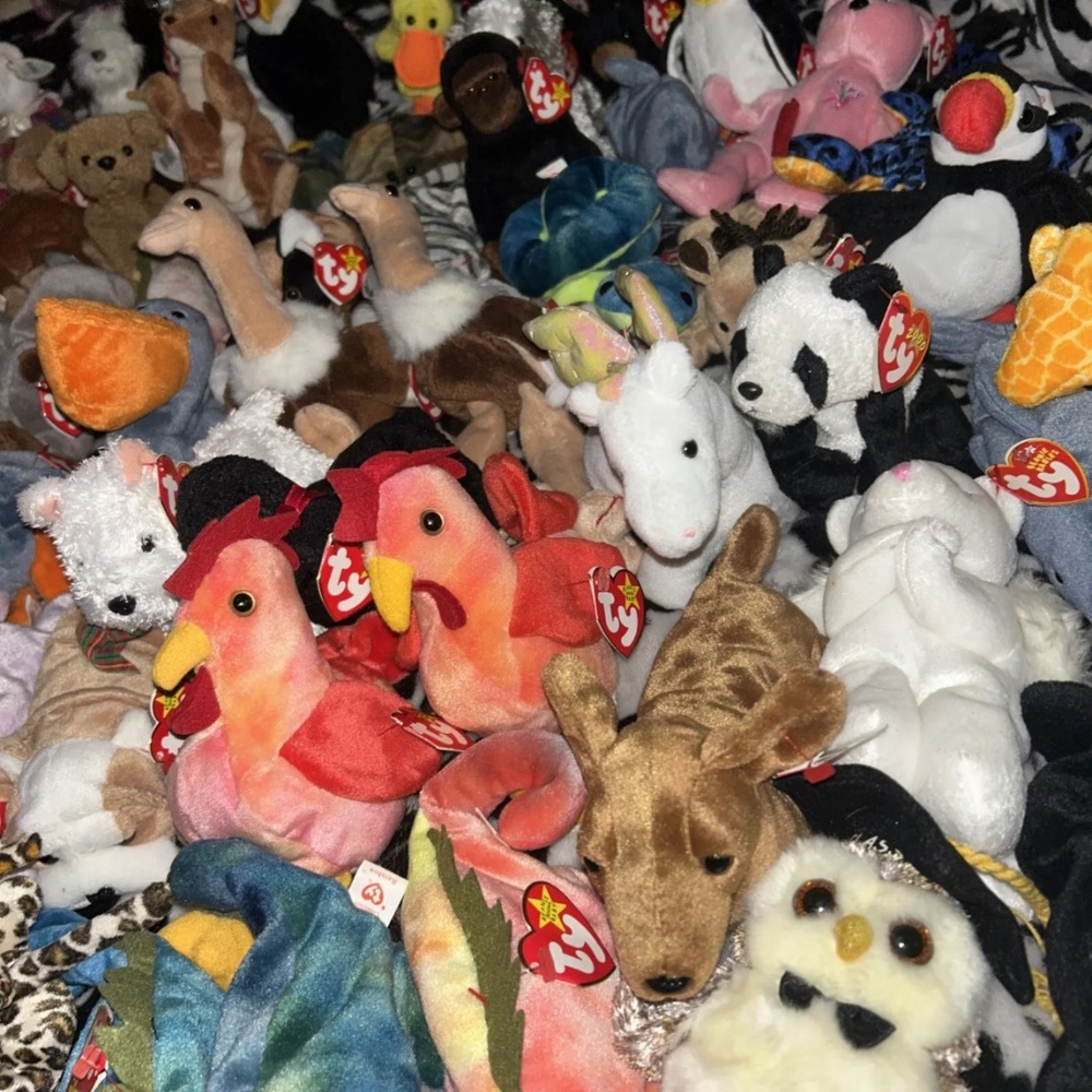 All 1999 beanie baby’s with tags